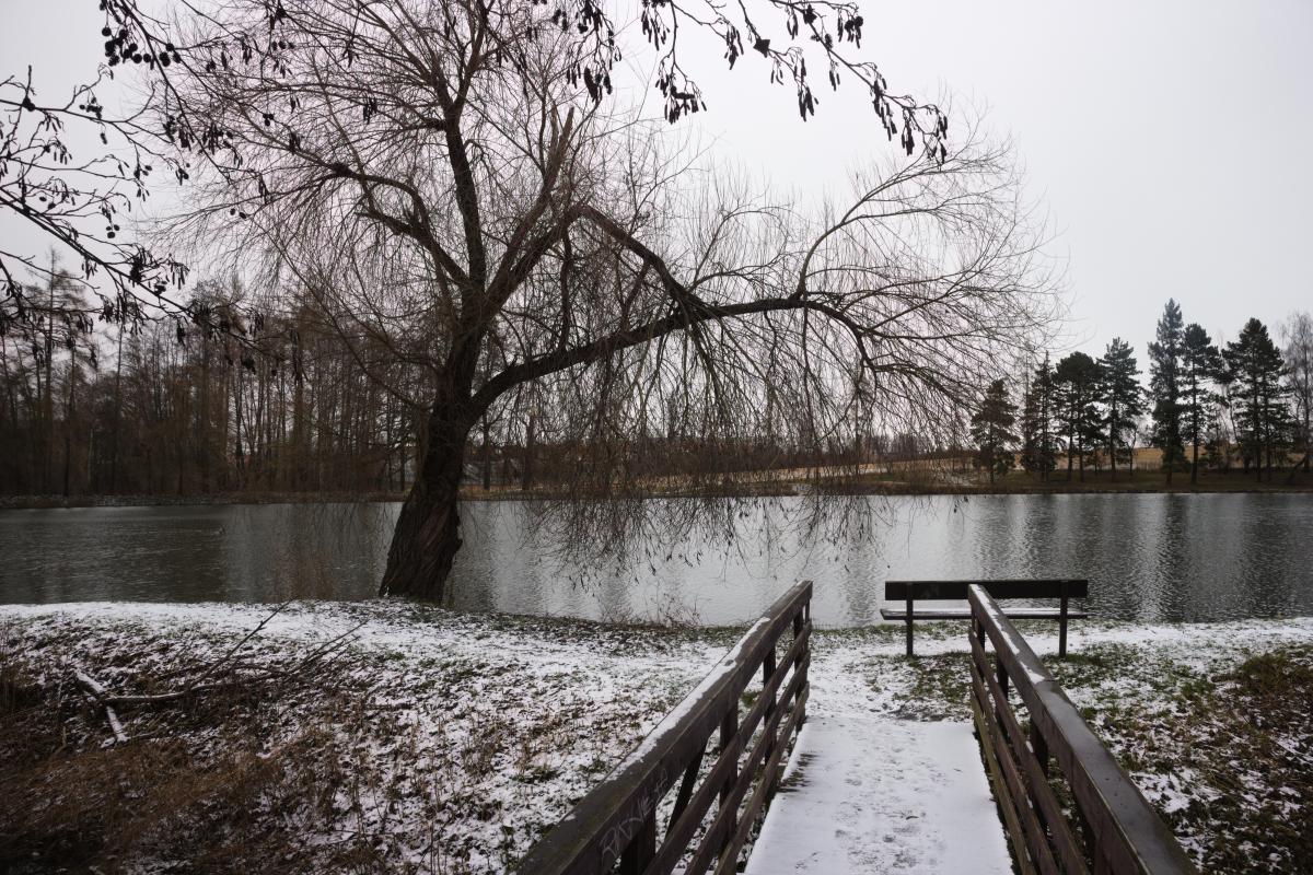 Dřevěné zábradlí cesty vedoucí mírně zasněženou krajinou k jezeru se stromem a lavičkou